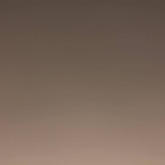 Meet your Posher, Sam - Picture 1 of 1